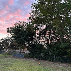 Meet your Posher, Sophia